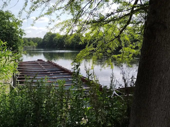 Rowing boats moored at the water's edge under willow branches